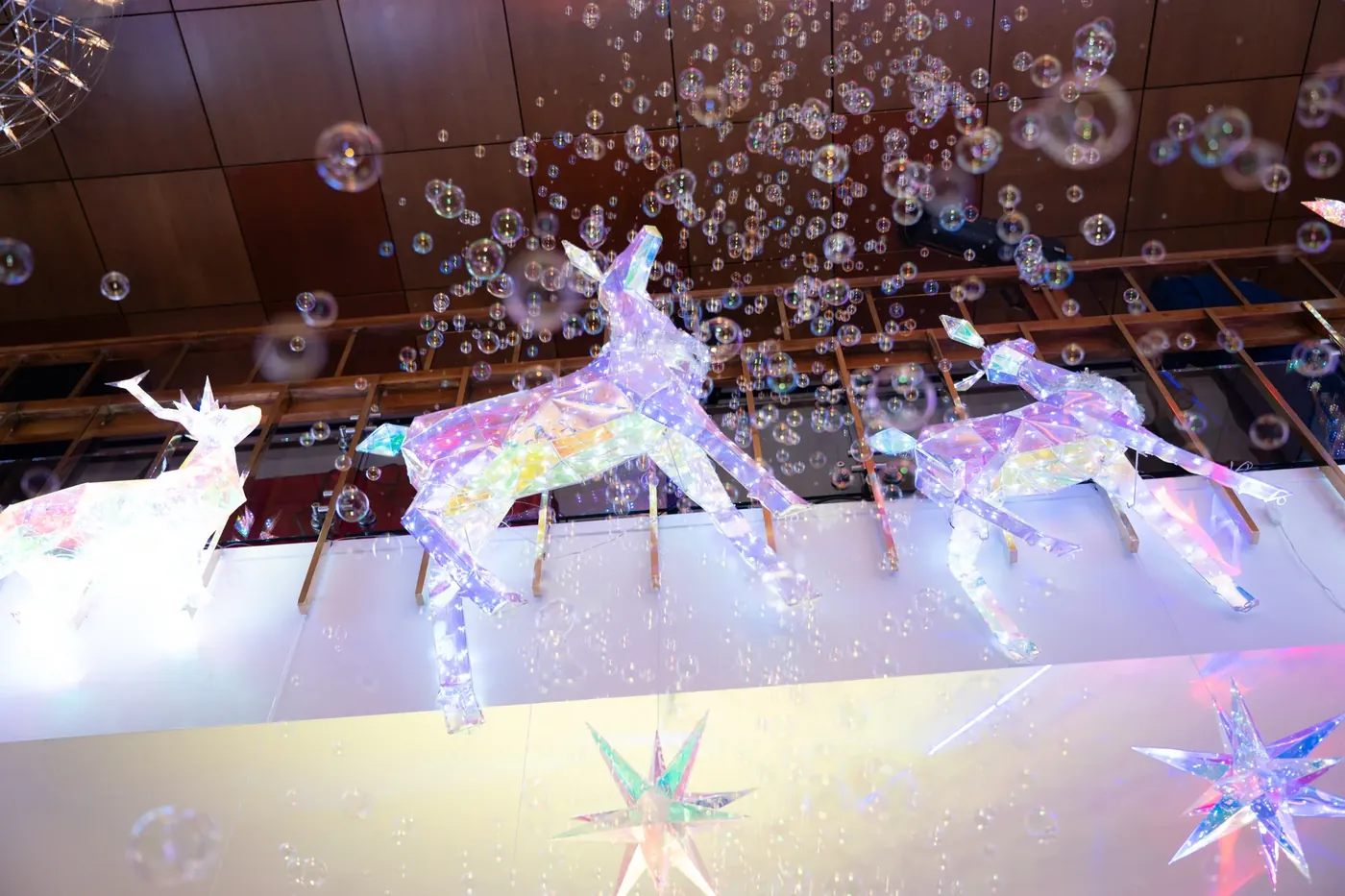 Reindeer and bubbles